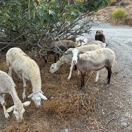 Cortijo La Vista Villa Orgiva Eksteriør billede