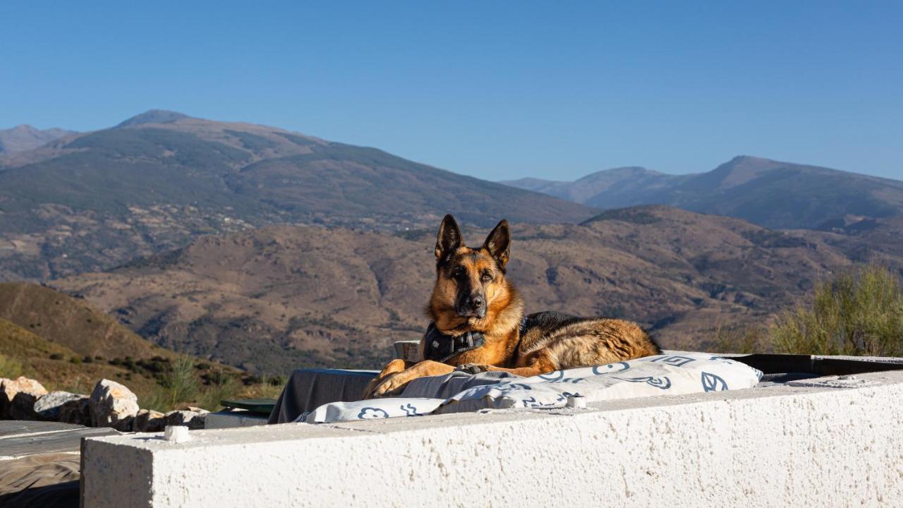 Cortijo La Vista Villa Orgiva Eksteriør billede
