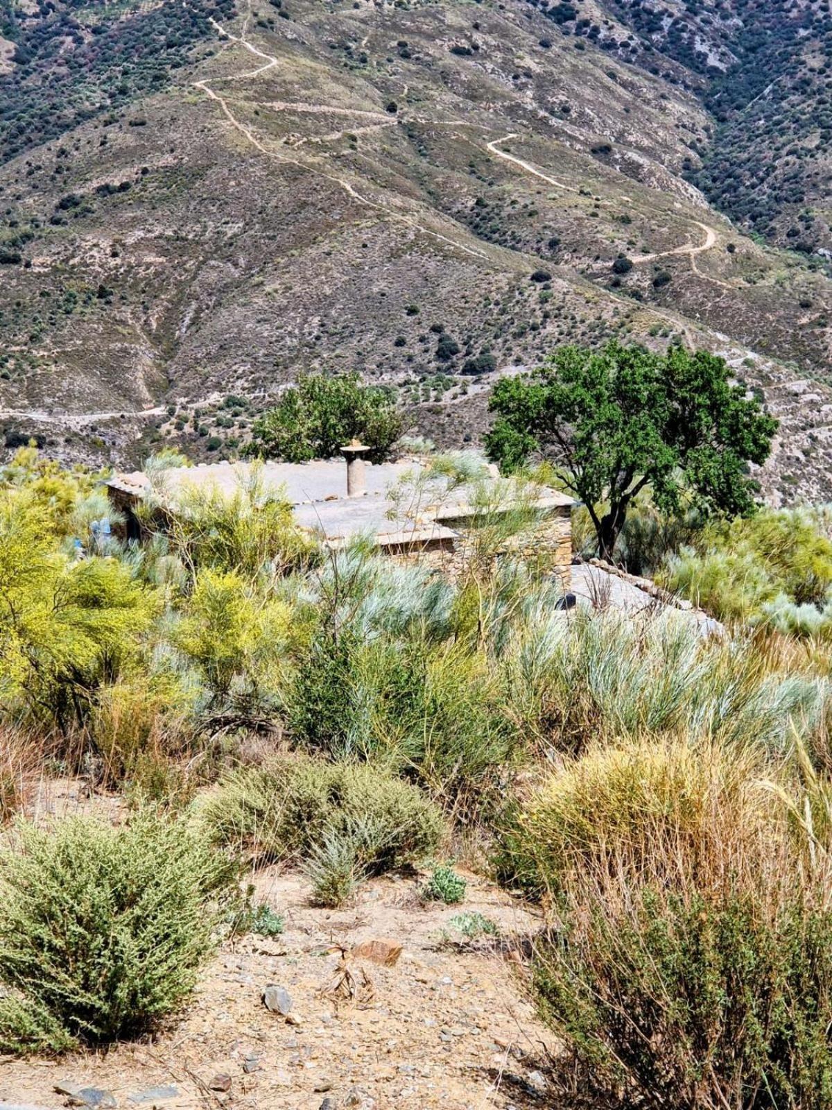 Cortijo La Vista Villa Orgiva Eksteriør billede