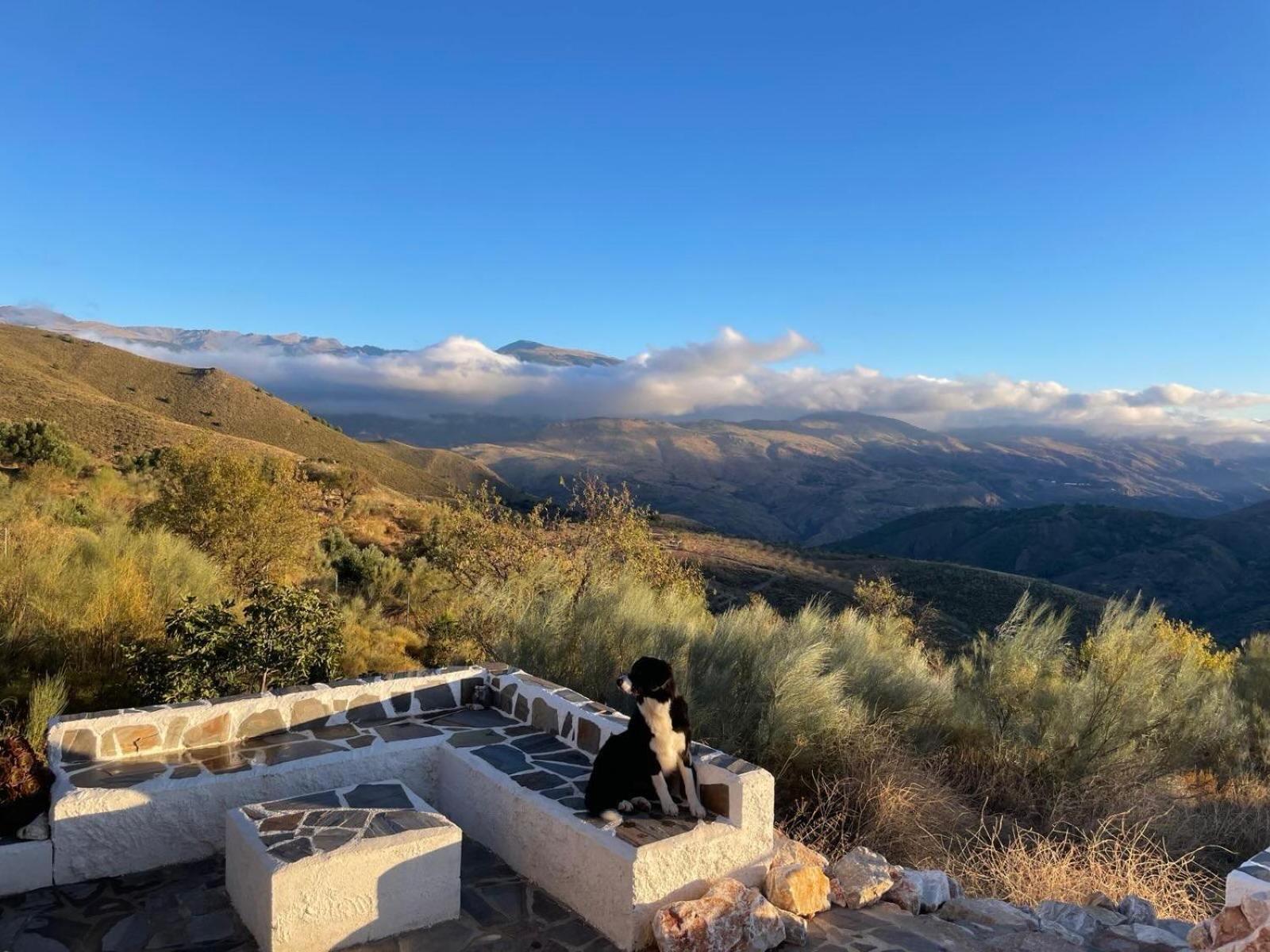 Cortijo La Vista Villa Orgiva Eksteriør billede